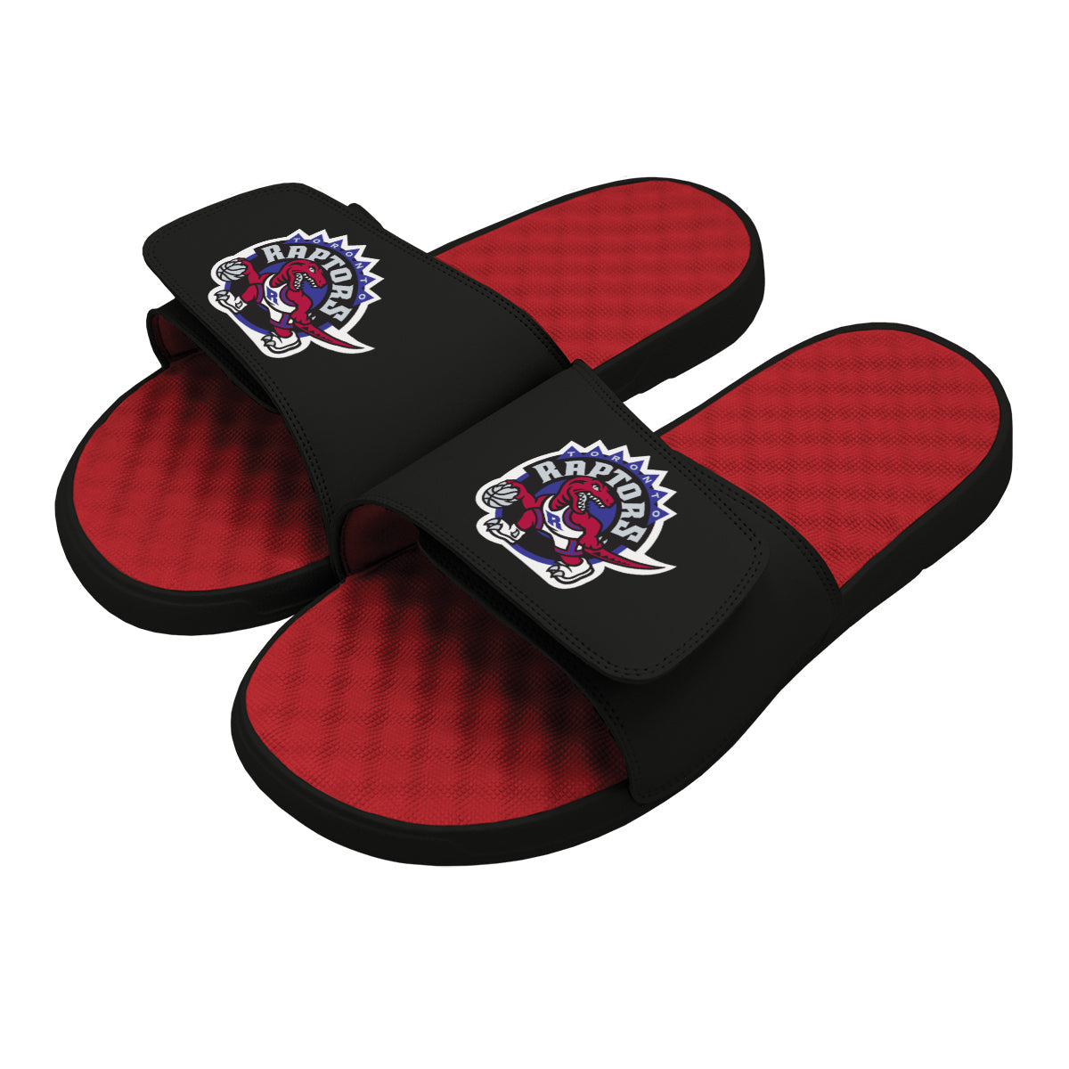 Raptors HWC Primary Logo Slides