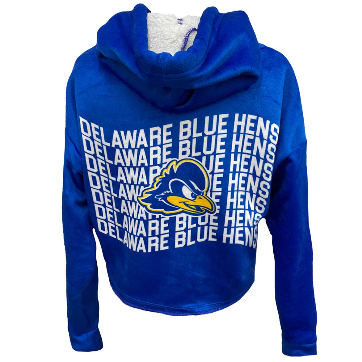 Delaware Varsity Furry Hoodie