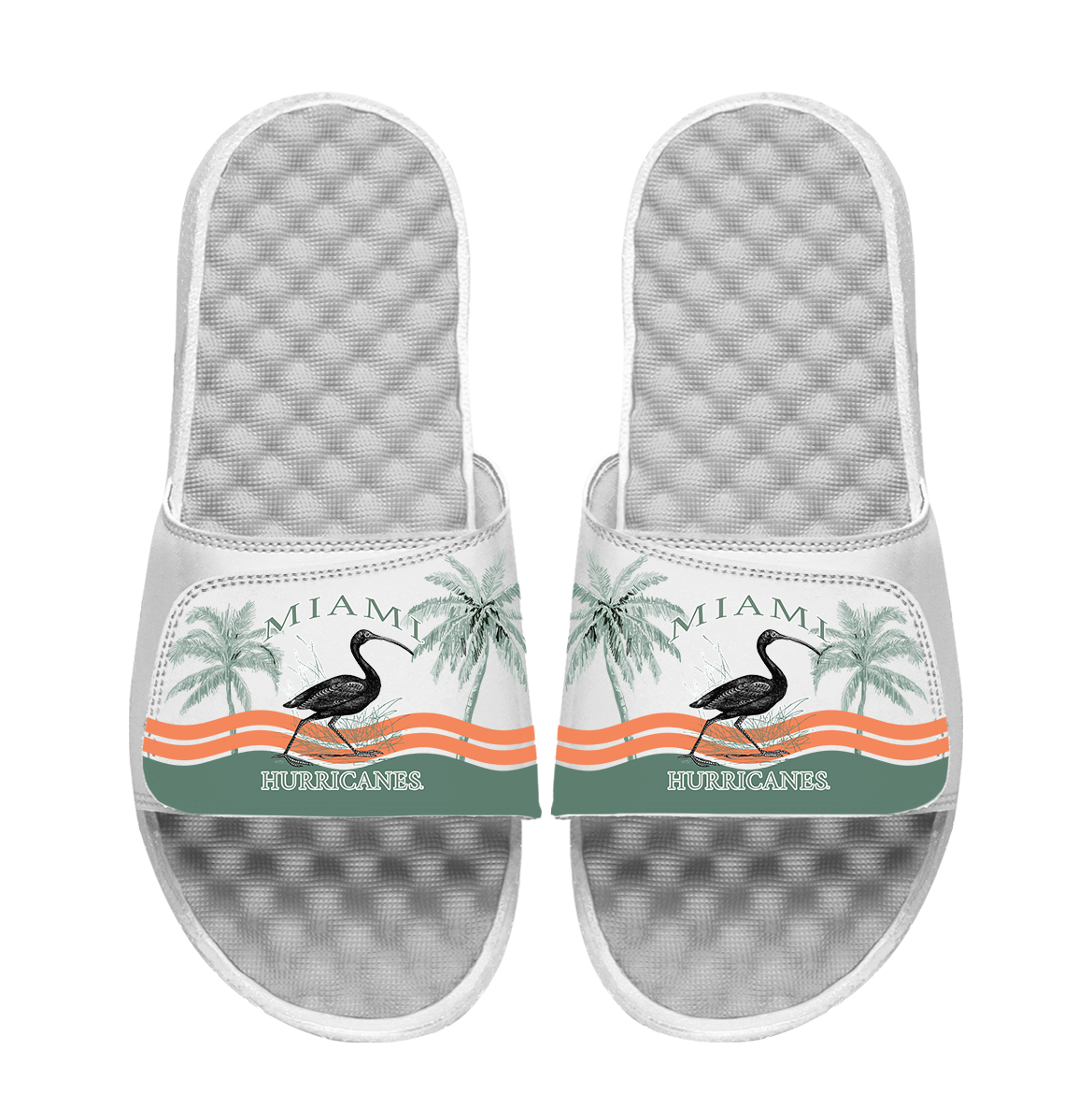 University of Miami Palm Tree Collage