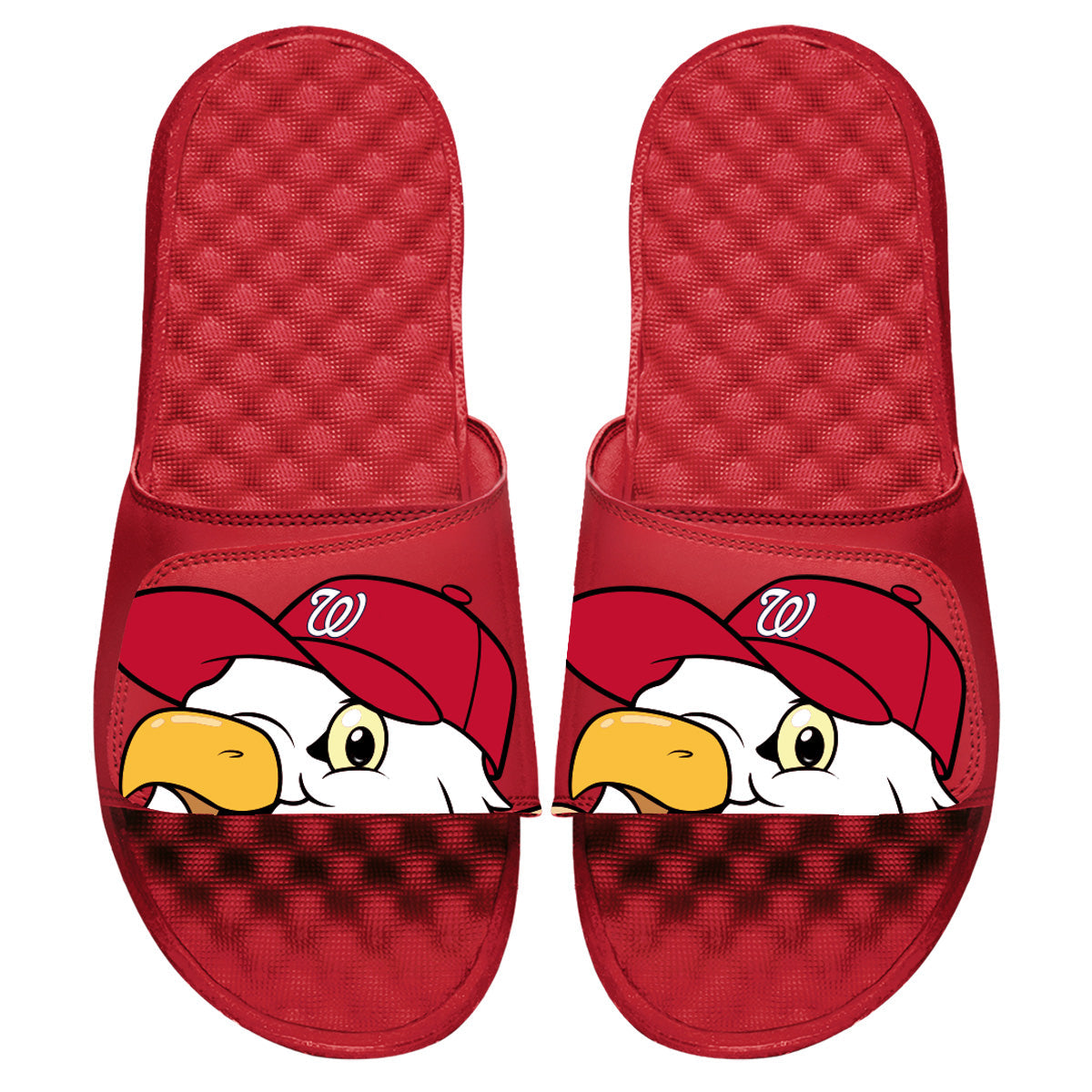 Washington Nationals Mascot Slides