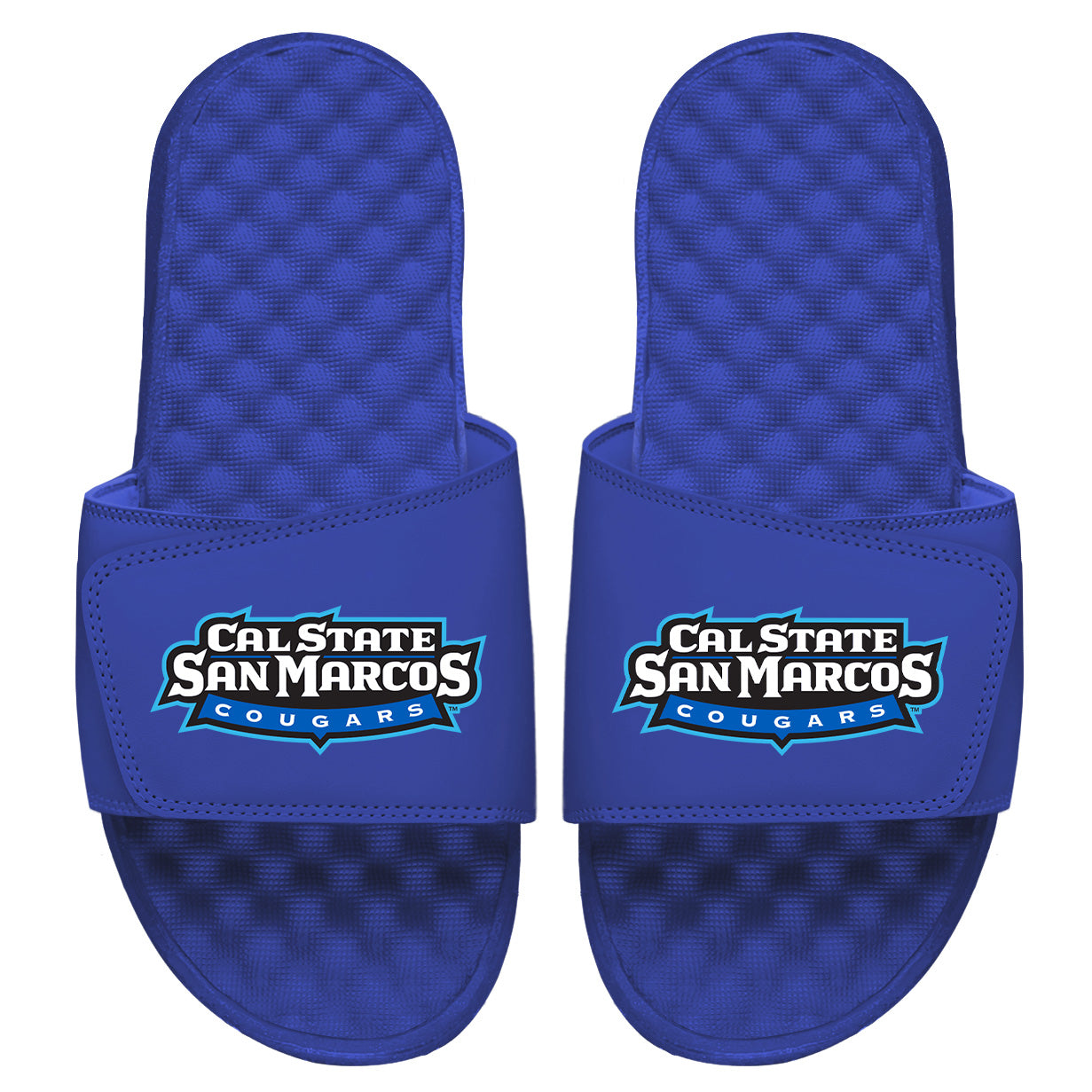 CSUSM Wordmark Slides