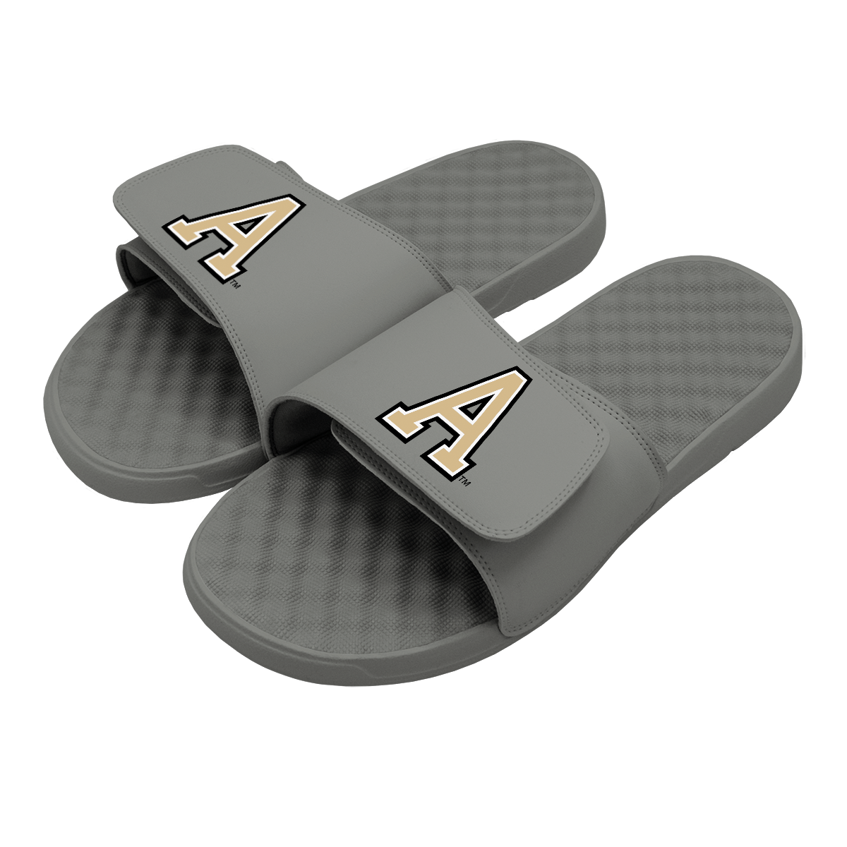 Army A Mark Logo Slides