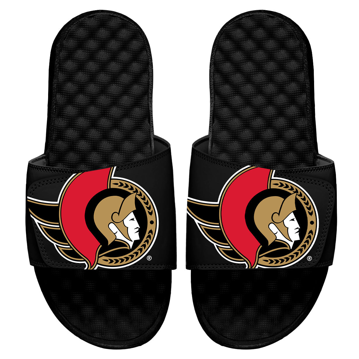 Ottawa Senators Blown Up Slides