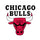 Chicago Bulls