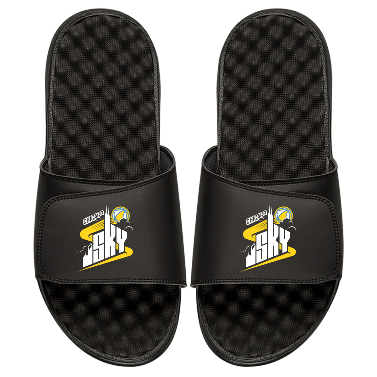 Chicago Sky Primary Slides