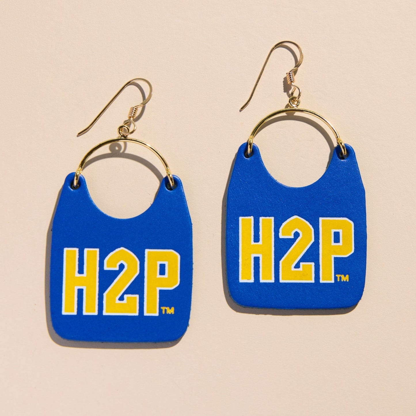 Game Royal University of Pittsburgh H2P "Hail to Pitt" Charlies