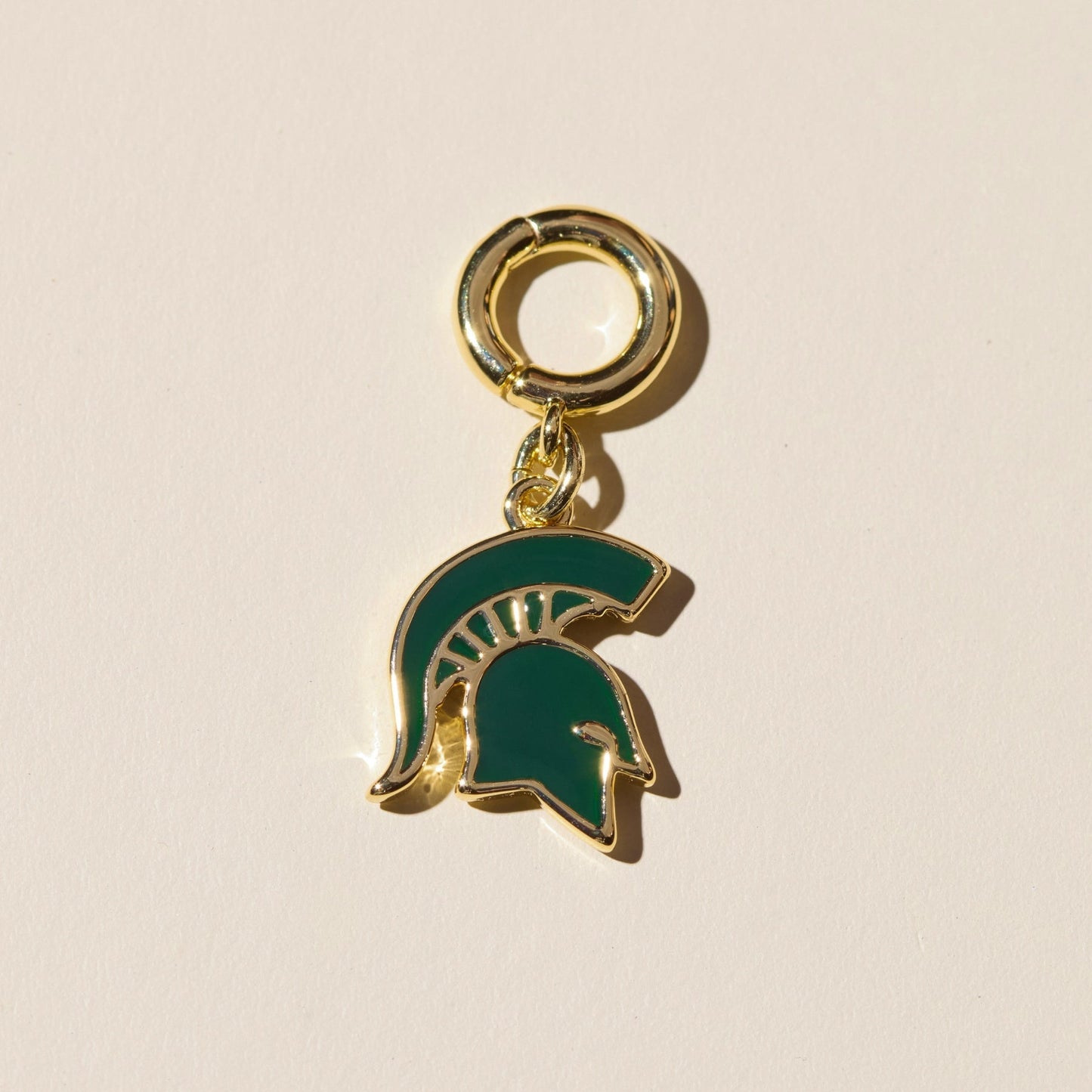 Michigan State University Spartan Charm