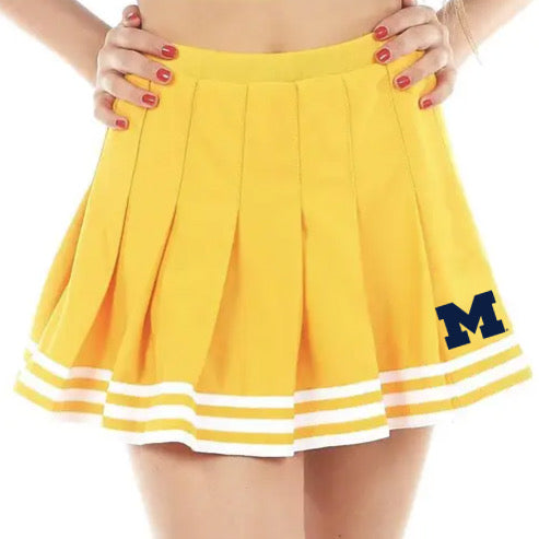University of Michigan Tailgate Skirt