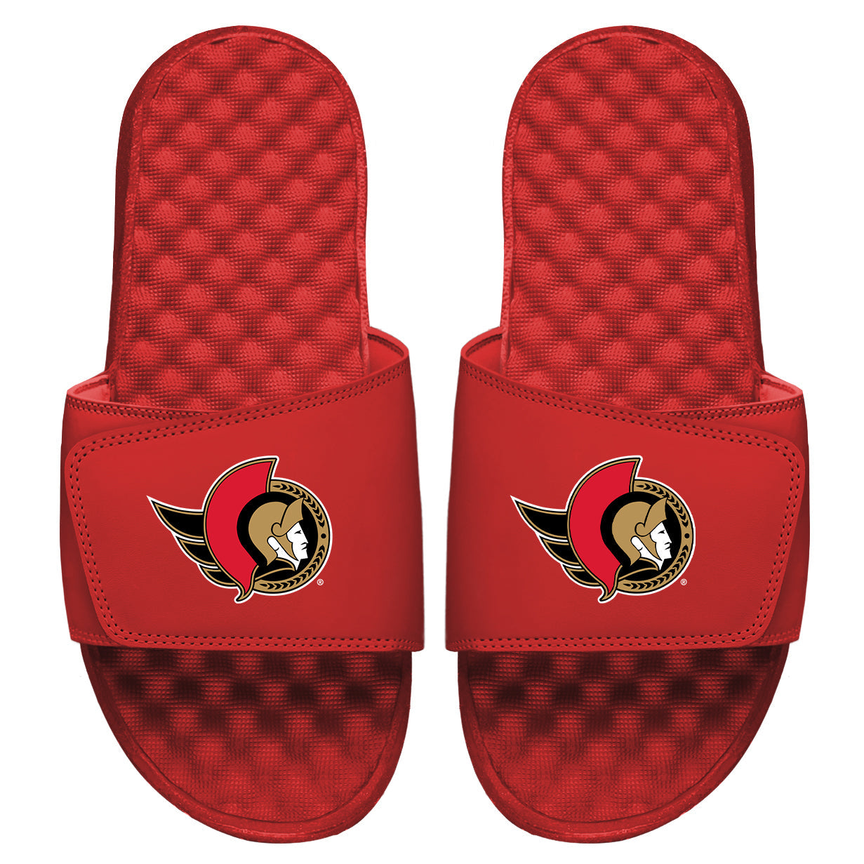 Ottawa Senators Primary Slides