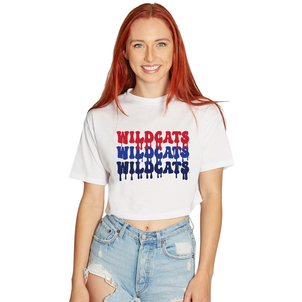 University of Arizona Drip Tee