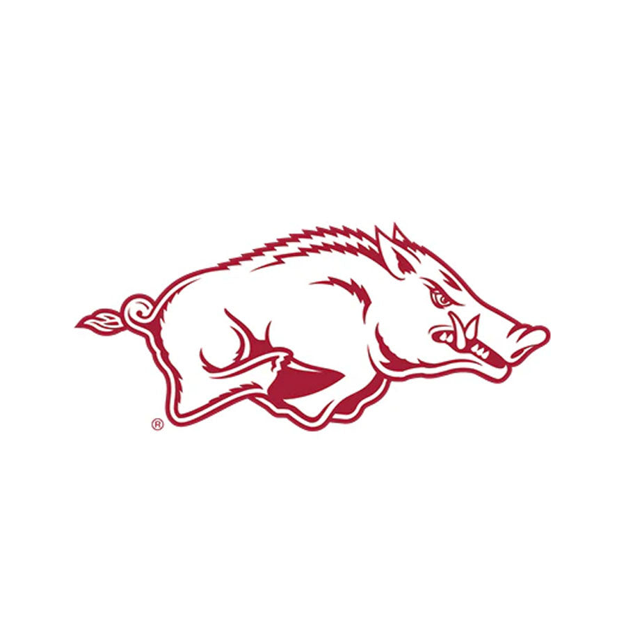 Arkansas Razorbacks