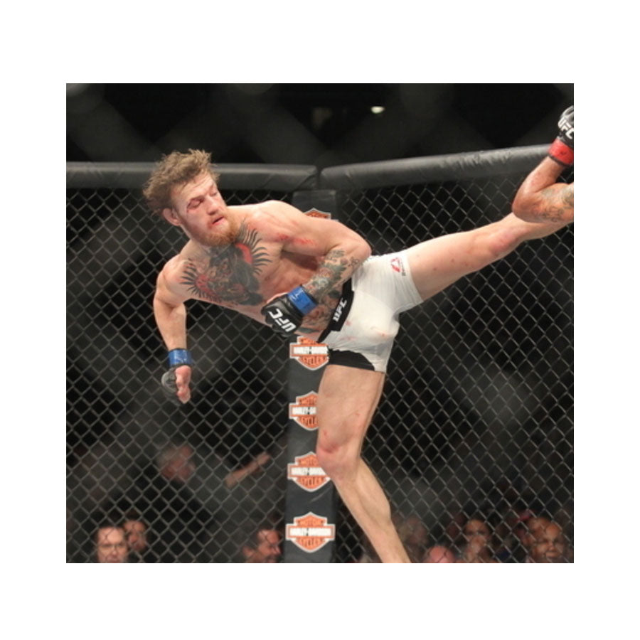 UFC Memorabilia