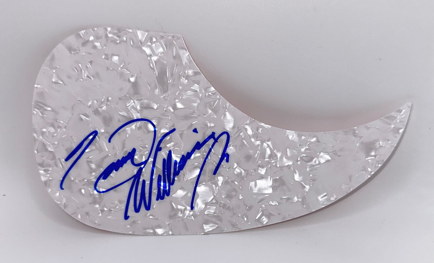 Hank Williams Jr Autographed Pick Guard Silver