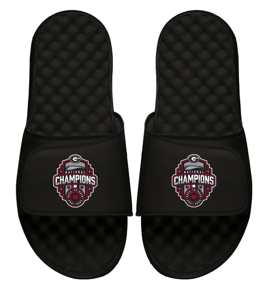 Georgia National Champions 22 Slides