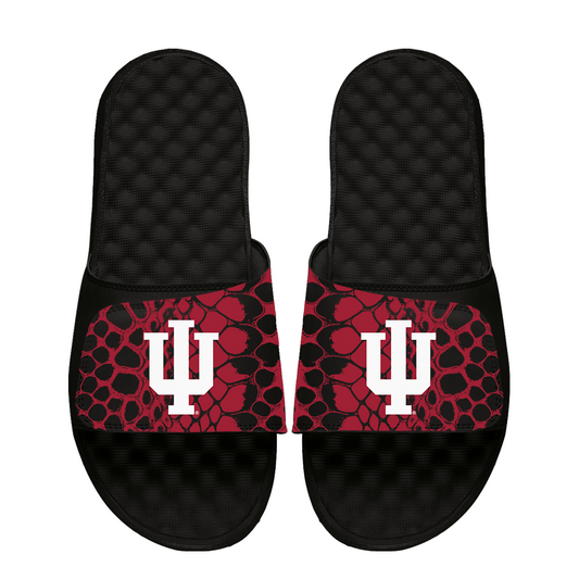 Indiana Hoosiers Year of the Snake