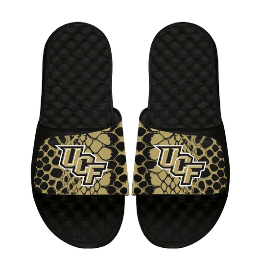 UCF Knights Year of the Snake
