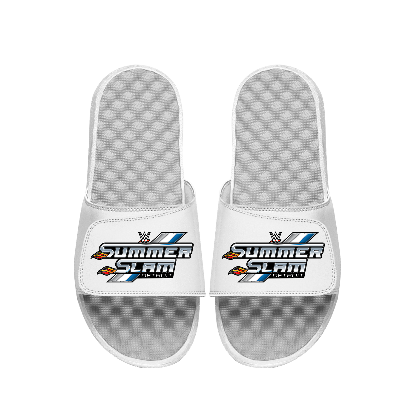 WWE Summer Slam Slides