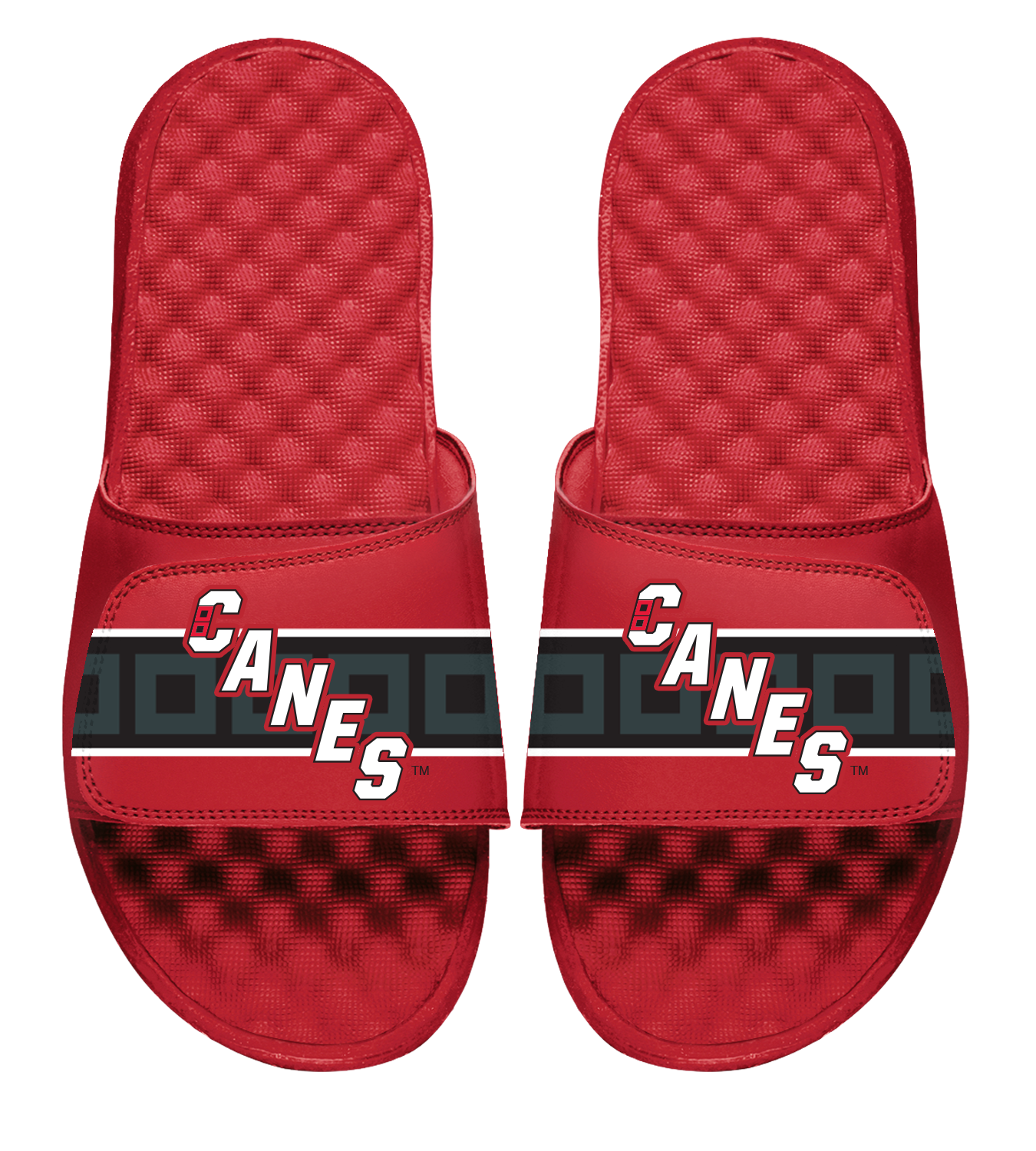 Carolina Hurricanes Reverse Retro Slides