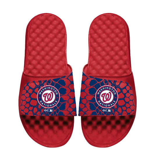 Washington Nationals Year of the Snake