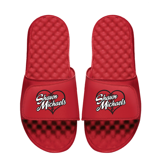 Shawn Michaels Heartbreak Slides