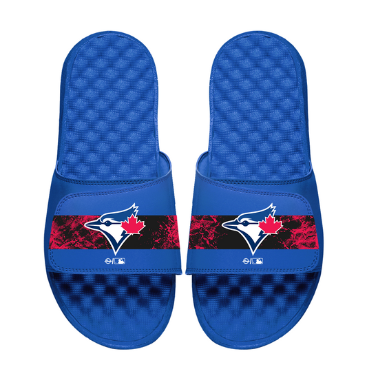 Toronto Blue Jays Distressed