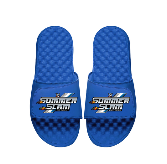WWE Summer Slam Slides