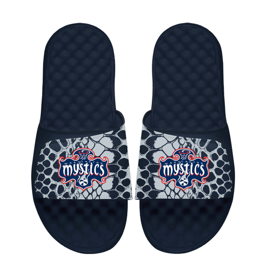 Washington Mystics Year of the Snake