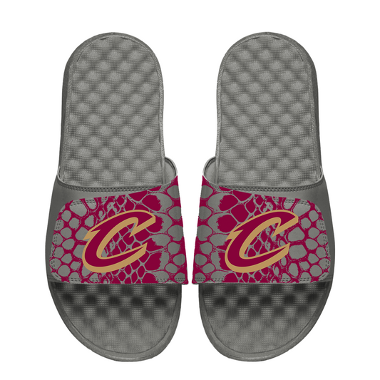 Cleveland Cavaliers Year of the Snake
