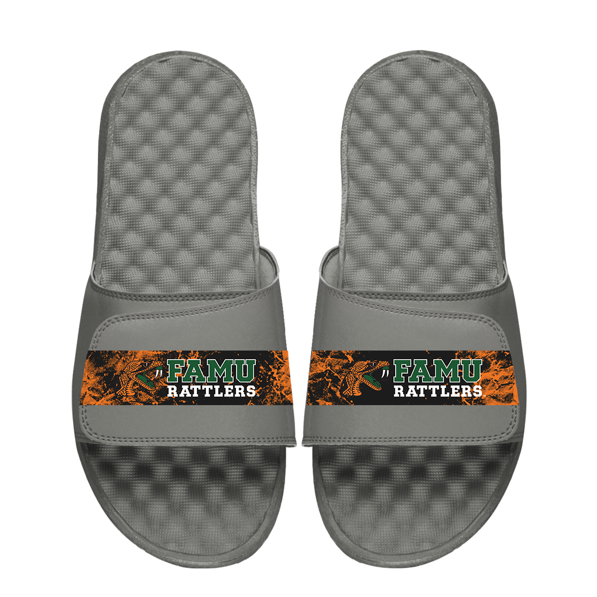 FAMU Distressed