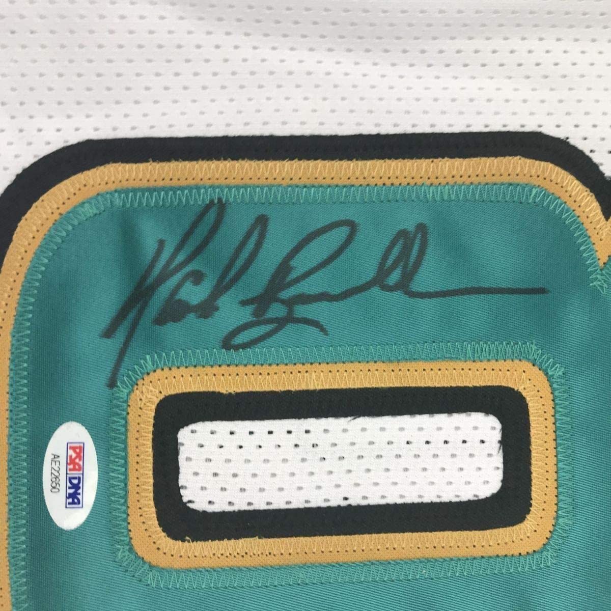 Framed Autographed/Signed Mark Brunell 35x39 Jacksonville White Football Jersey PSA/DNA COA