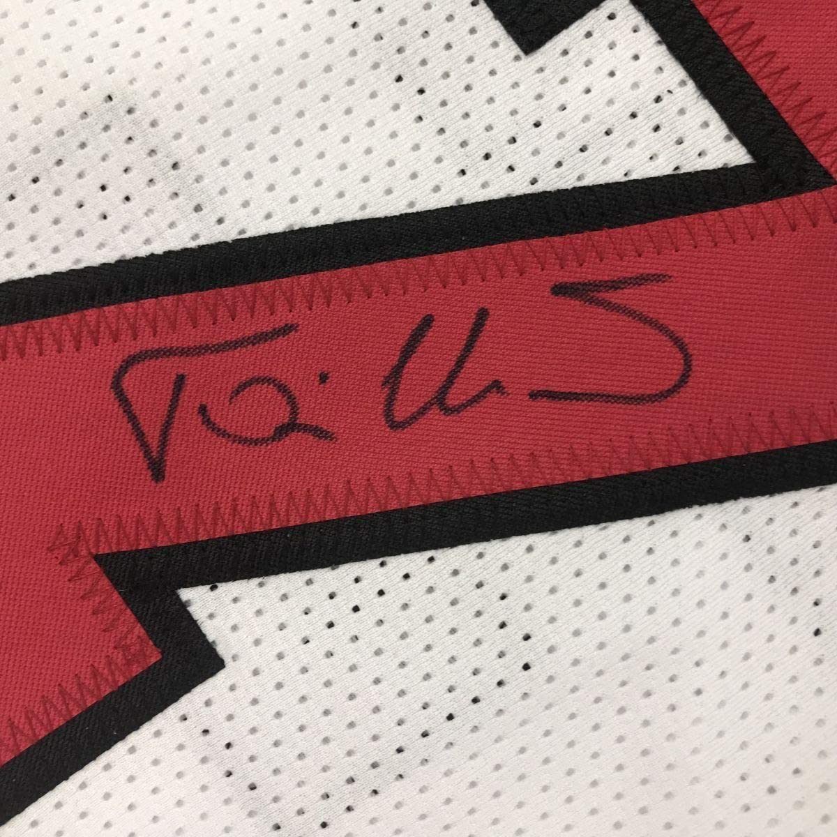 Framed Autographed/Signed Toni Kukoc 35x39 Chicago White Basketball Jersey Beckett BAS COA