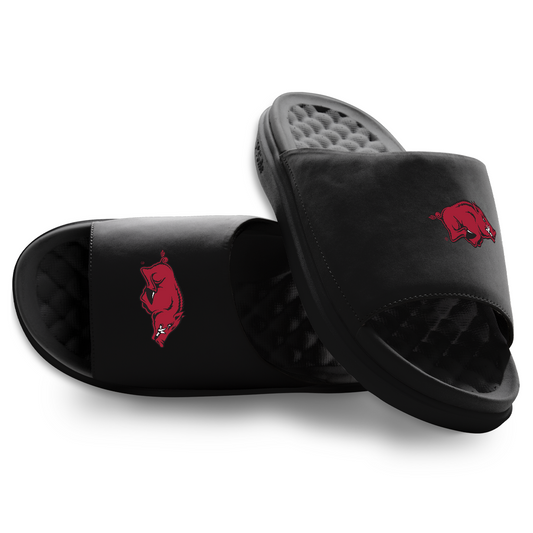 Arkansas Razorbacks Primary Motive