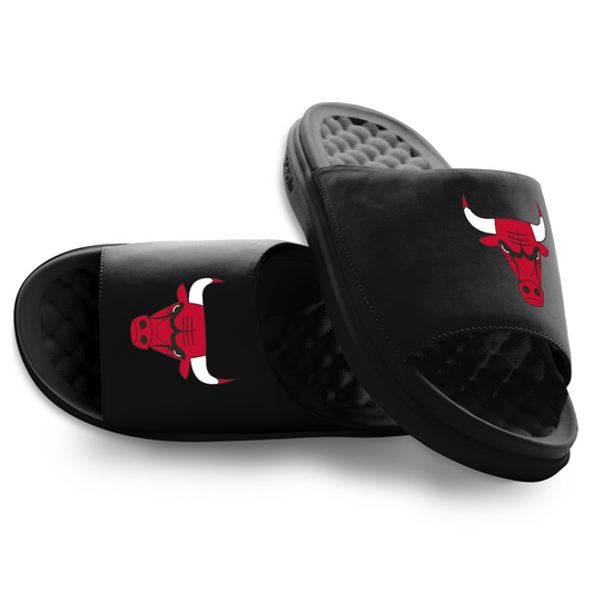 Chicago Bulls Primary Motive