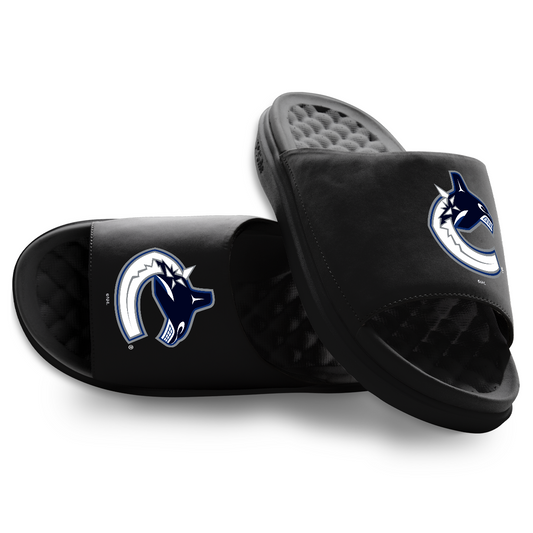 Vancouver Canucks Primary Motive
