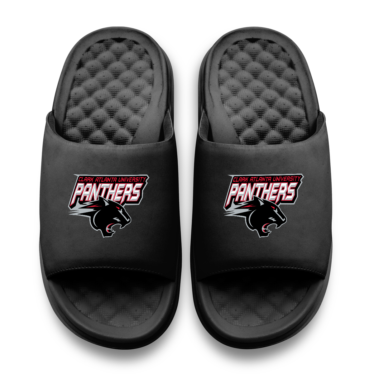 Clark Atlantic University Panthers Primary Motive