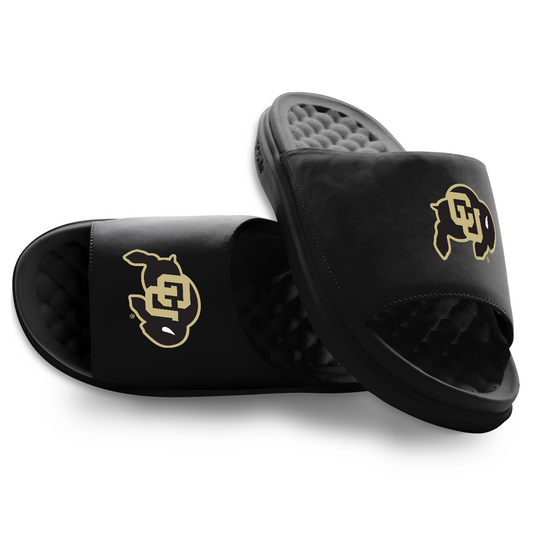 Colorado Buffaloes Primary Motive