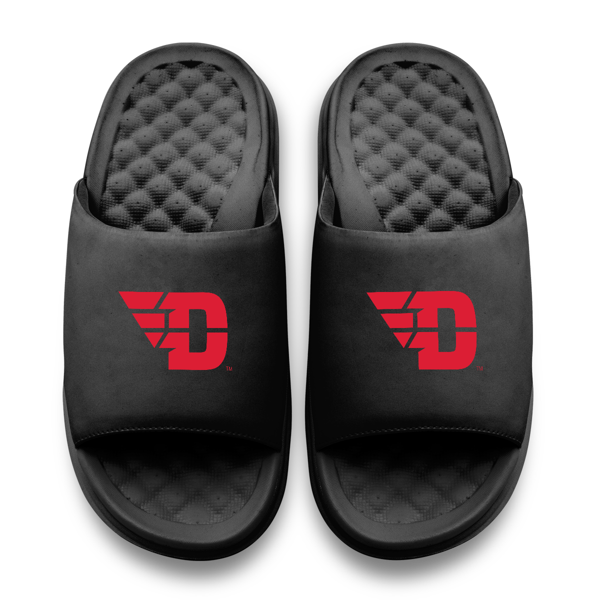 Dayton Flyers Primary Motive