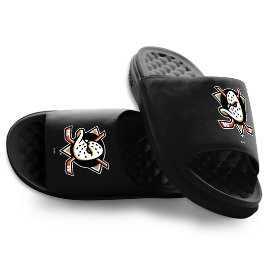 Anaheim Ducks Primary Motive
