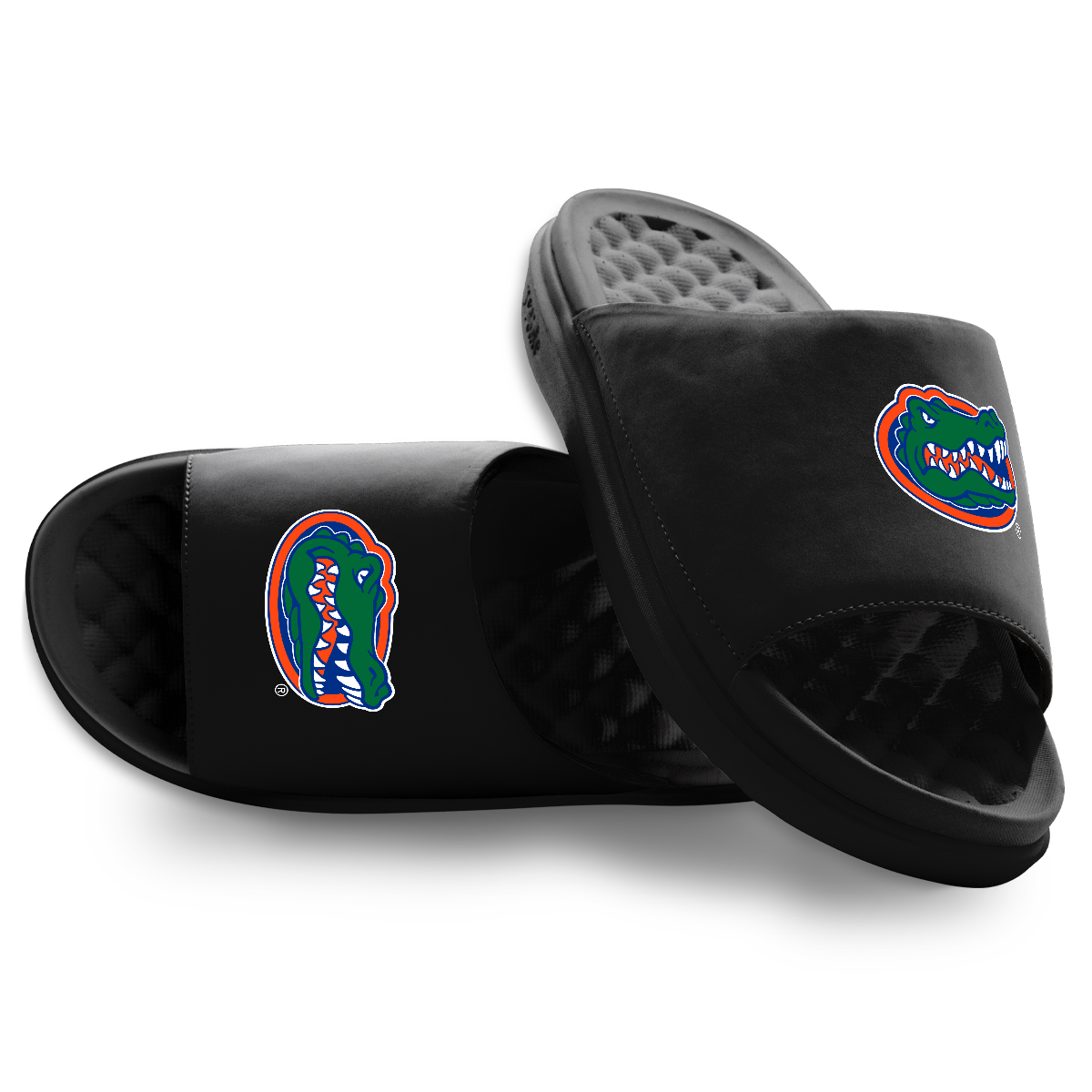 Florida Gators Primary Motive