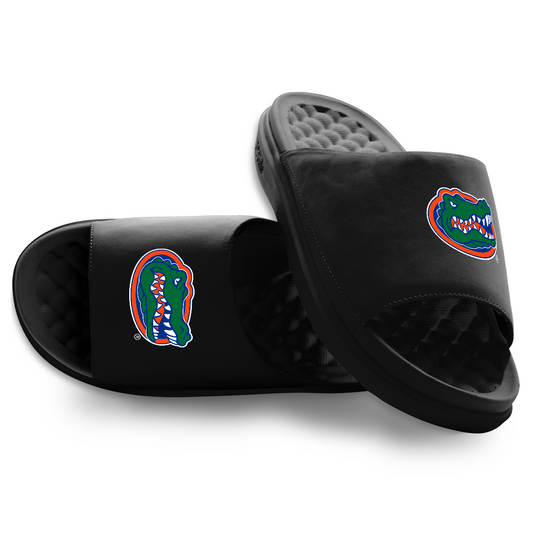 Florida Gators Primary Motive