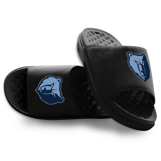Memphis Grizzlies Primary Motive