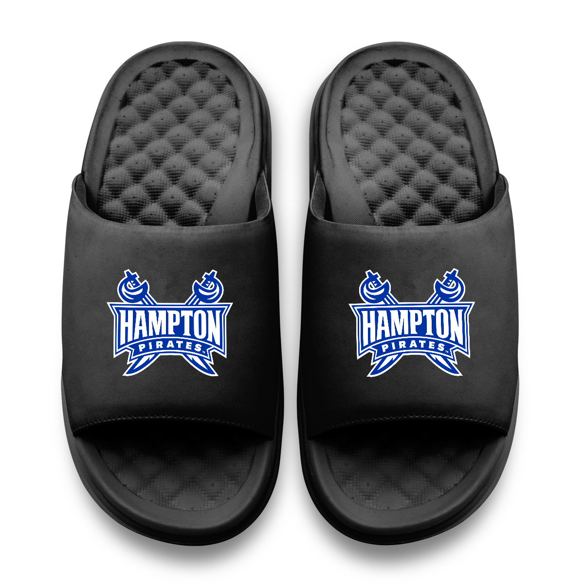 Hampton Pirates Primary Motive