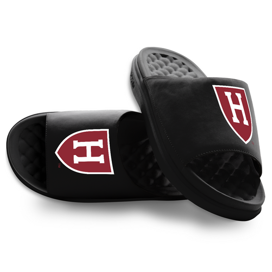 Harvard Crimson Primary Motive