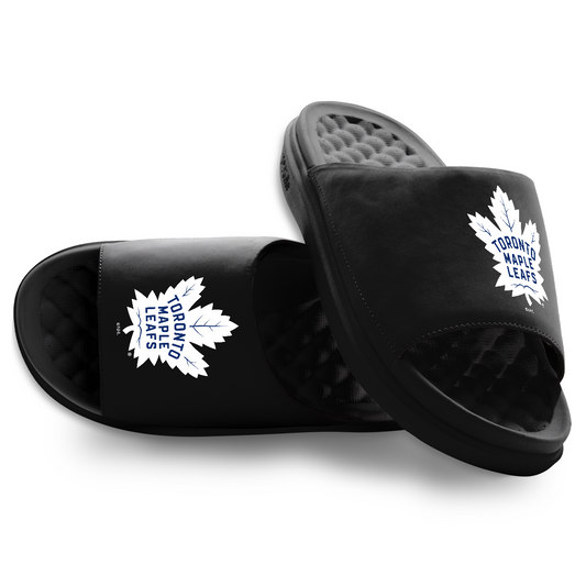 Toronto Maple Leafs Primary Motive