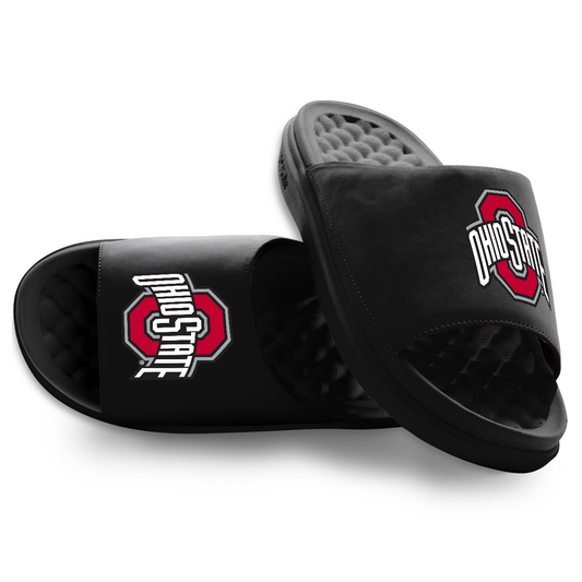 Ohio State Buckeyes Primary Motive