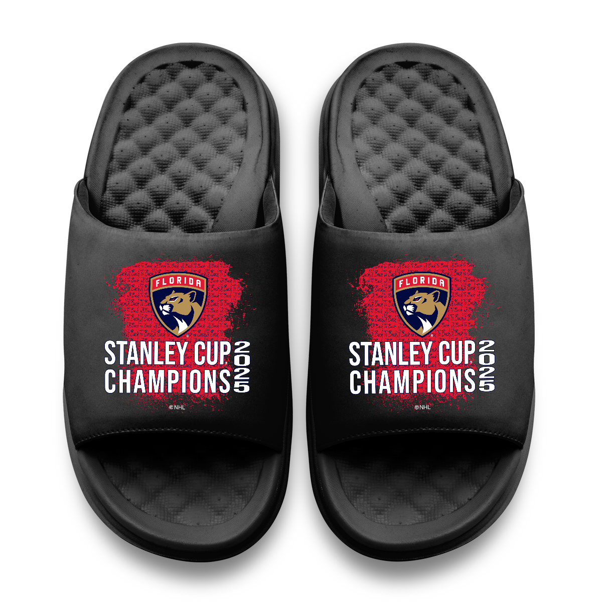 Florida Panthers 2025 Stanley Cup Champions Script Motive