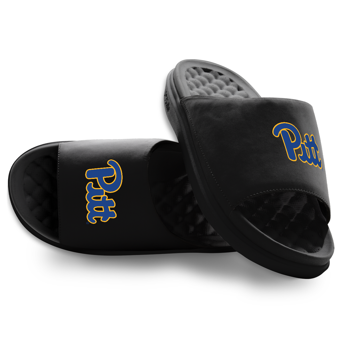 Pitt Panthers Primary Motive