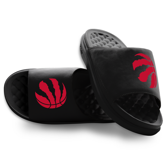 Toronto Raptors Primary Motive