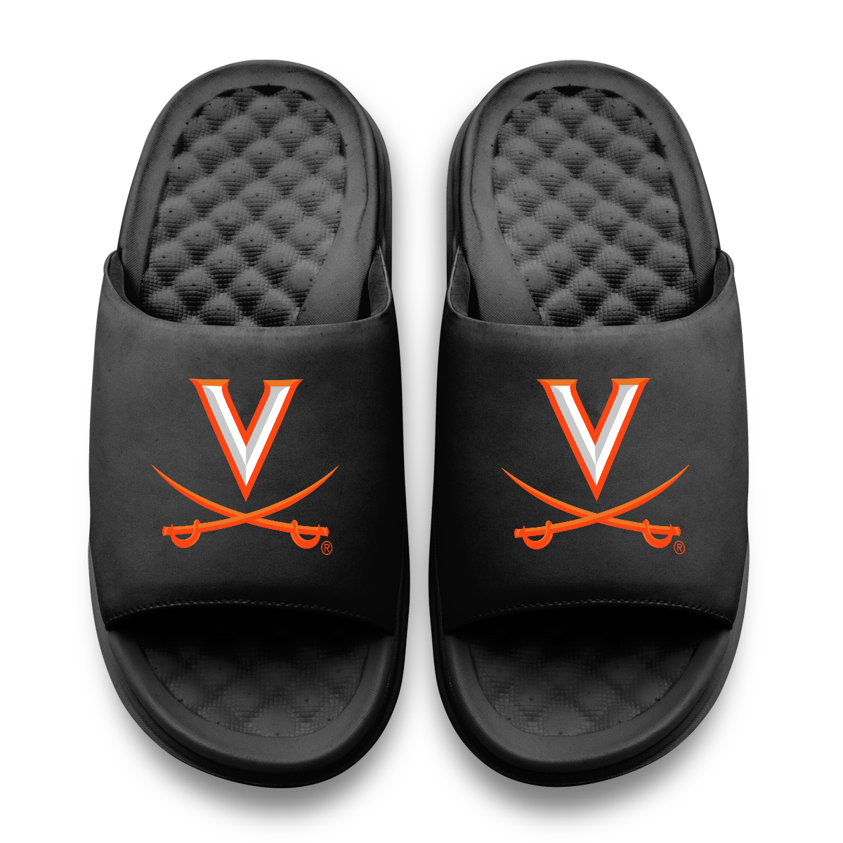 Virginia Cavaliers Primary Motive