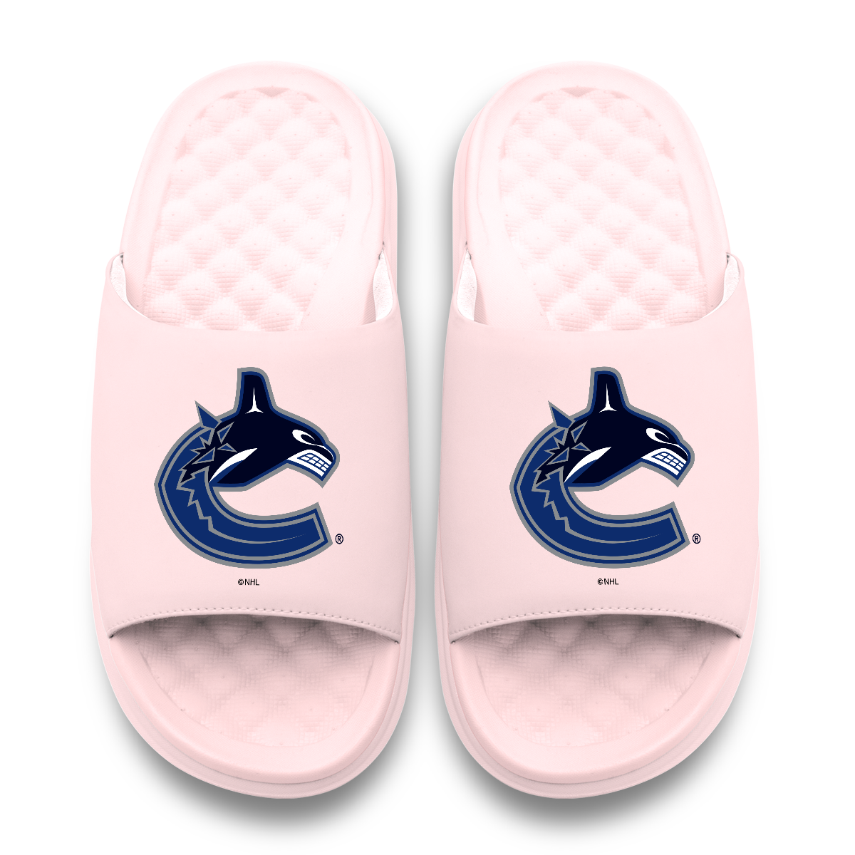 Vancouver Canucks Primary Motive